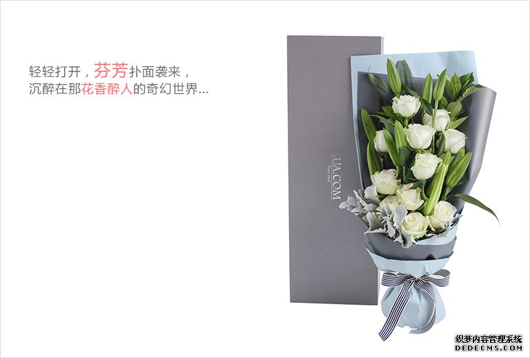 油润镜头欧美肥老太wbwbwbb，捕捉生活中的细腻与温暖