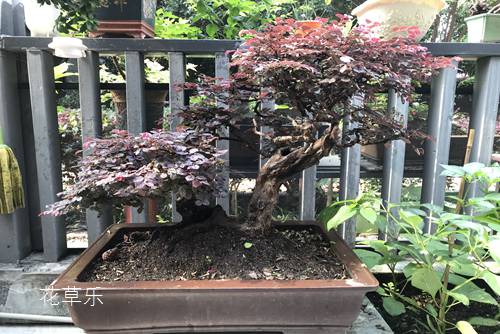 仰角镜头99国产熟女高清精品久久久久久，揭示世界的另一面，洞见非凡之美