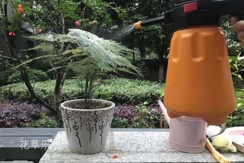 好看的古装动漫999精品啪视频永久免费，好看的古装动漫推荐，带你领略不一样的历史风情