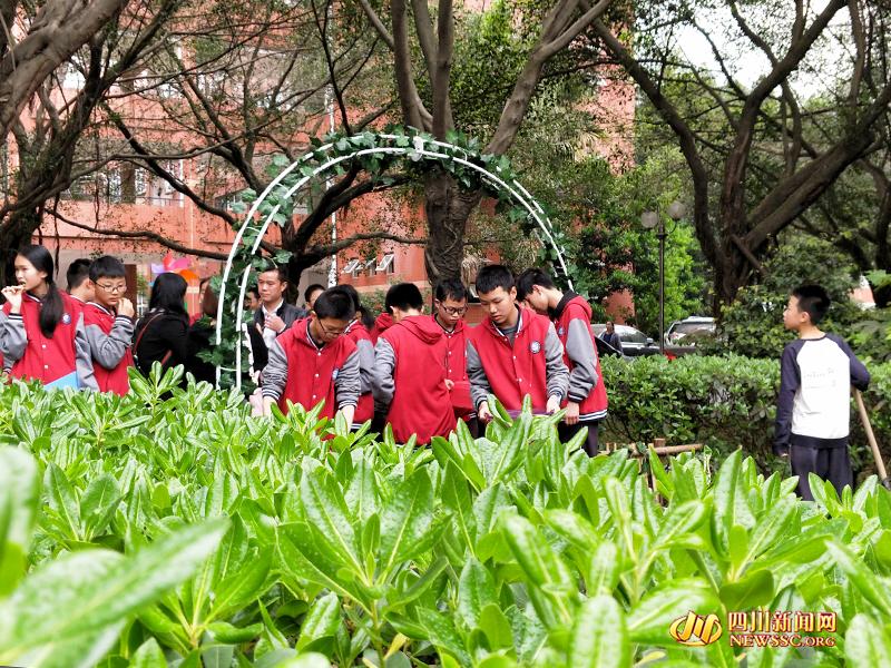 片仔癀美容99国产熟女高清精品久久久久久，古老秘方解锁现代美丽新境界