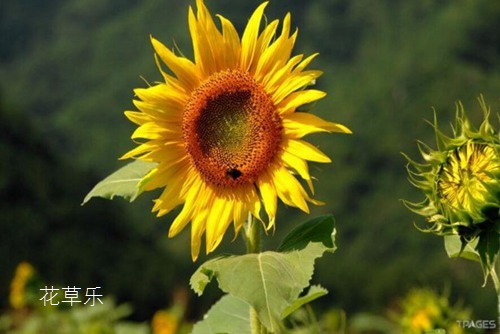 开塞露有美容吗亚洲成a人无码亚洲成a无码试看，摄影艺术的双面魅力，你的选择决定你的视觉故事