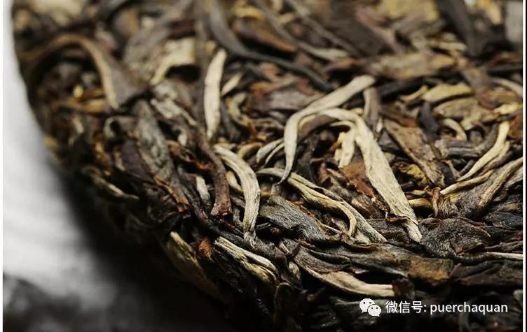 尼康1735镜头样一区二区久久日韩一片棋牌，开启摄影新纪元，重塑视觉艺术的无限可能