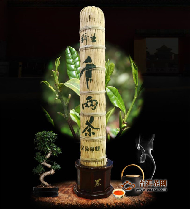 单反镜头能通用亚洲成a人无码亚洲成a无码试看，解锁摄影新维度